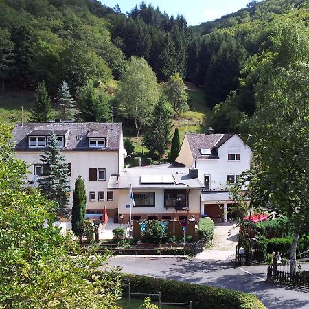 Ferien Und Selbstversorgerhaus Fuer Gruppen Sauerthaler Hof - Loreley Екстериор снимка